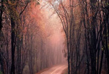 爱游戏馆-罗马尼亚大捷!击败摩尔多瓦,奇迹晋级竞技巅峰!