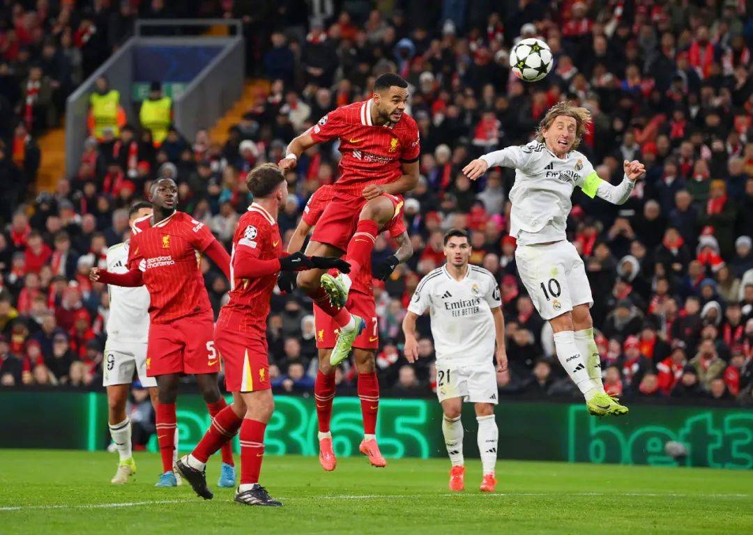 爱游戏官网登录网址-利物浦替补席深度成优势,冲击世俱杯冠军的简单介绍