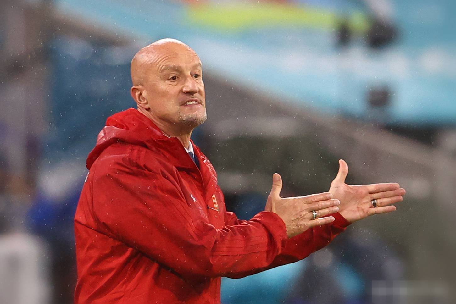 包含匈牙利队表现稳定,实力或成黑马之一的词条 包含匈牙利队表现稳定,实力或成黑马之一的词条