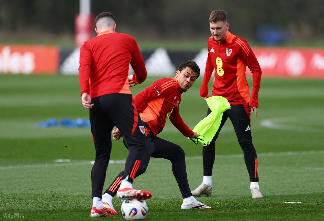 比利时队表现不佳,惨遭欧预赛淘汰 比利时队表现不佳,惨遭欧预赛淘汰